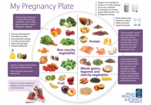 Indian Diet Plan During First Trimester of Pregnancy - Well Woman Clinic